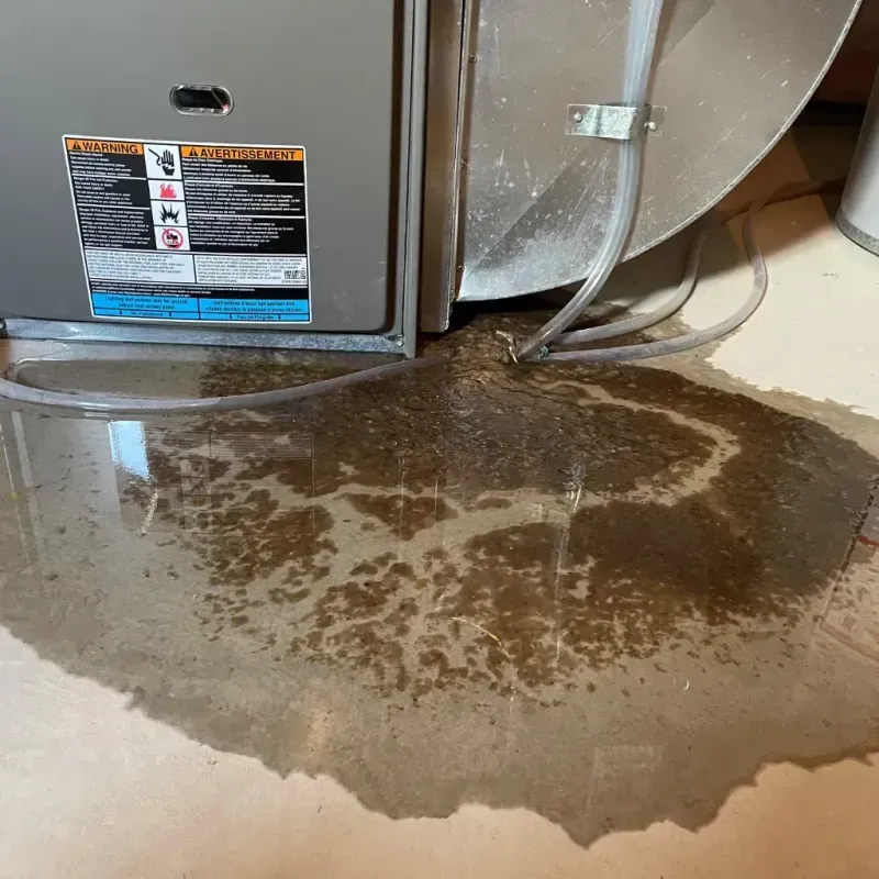 Appliance Leak Cleanup in Crittenden County, KY